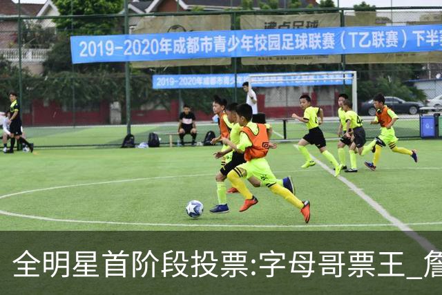 全明星首阶段投票:字母哥票王 詹姆斯西部票王